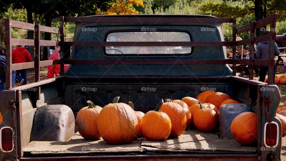 A farmer loads up his truck