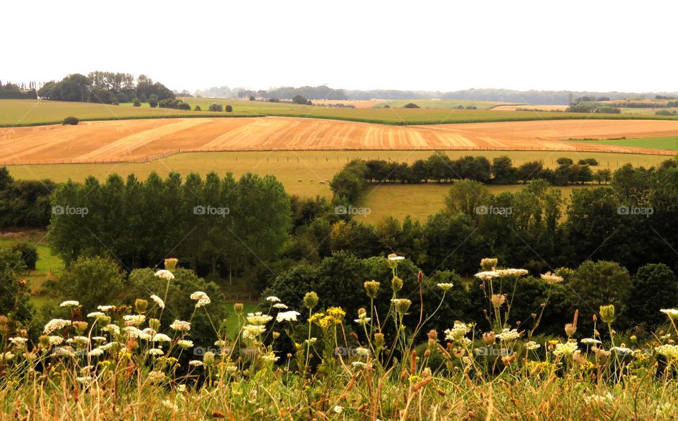 rural charm