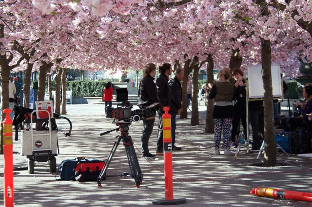 Photographers perspective . Photographers perspective 