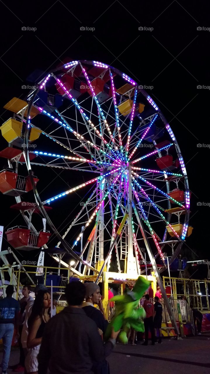 Festival, Carnival, Carousel, Ferris Wheel, Entertainment