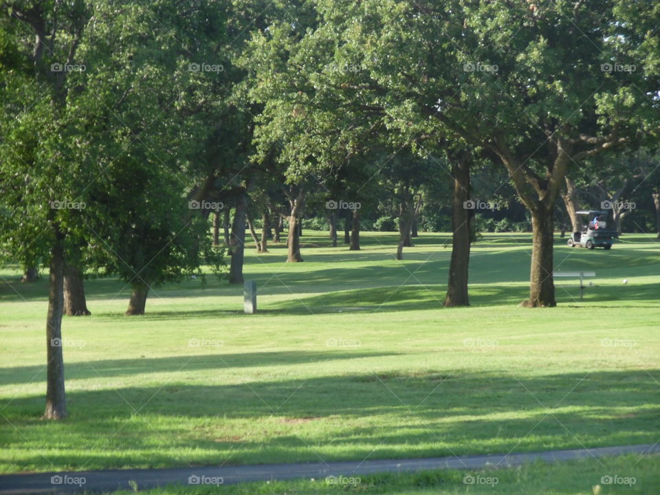 country golf ⛳ course. This is a picture of a golf ⛳ course that I saw while out exploring in East Texas