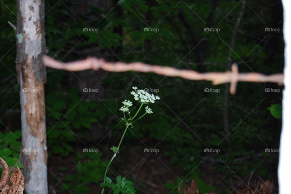 Flower fence post