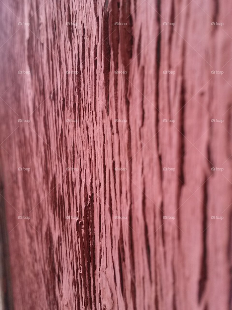 Old barn door, texture