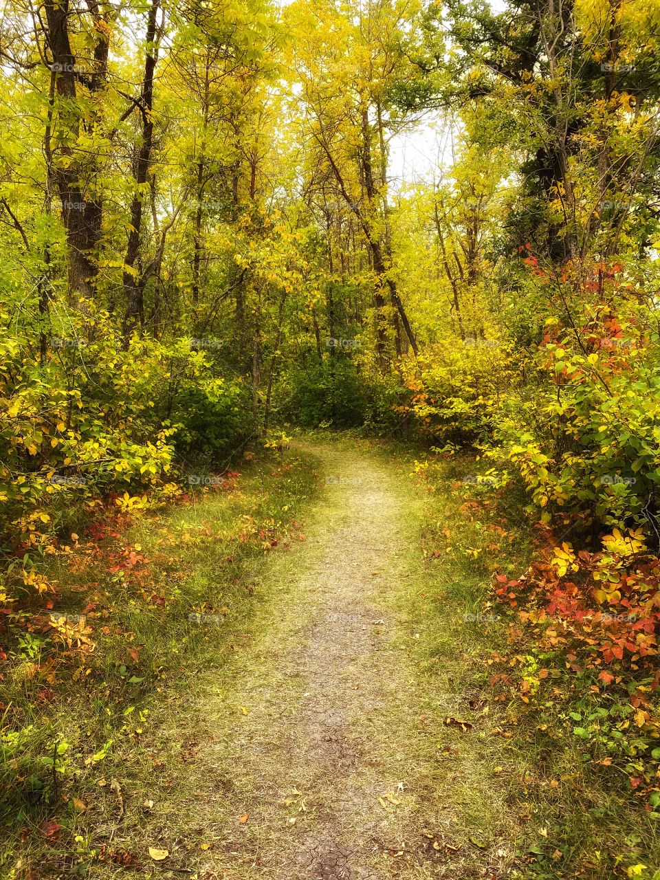 Nature trail