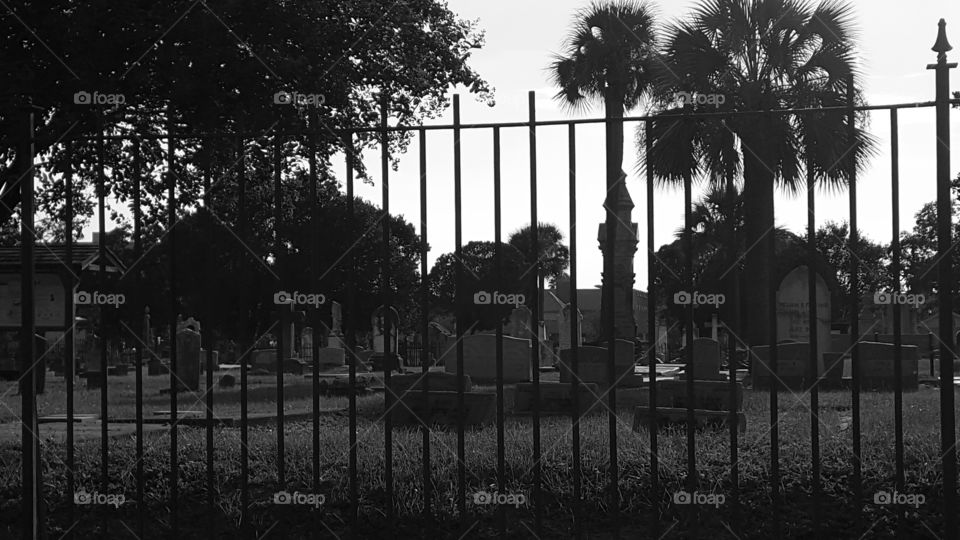 cemetery grayscale