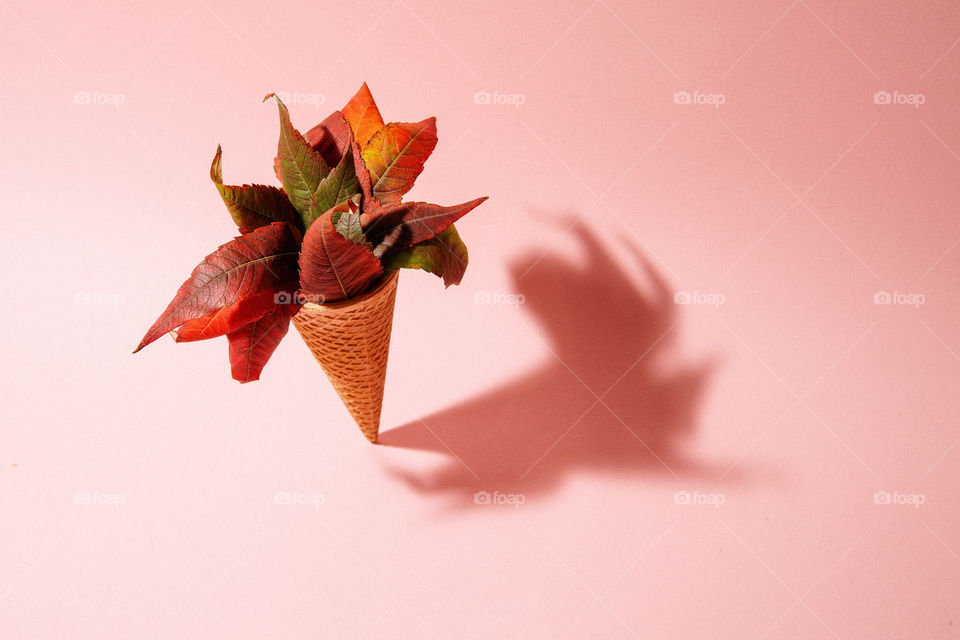 Creative concept of ice cream cone with autumn leaves