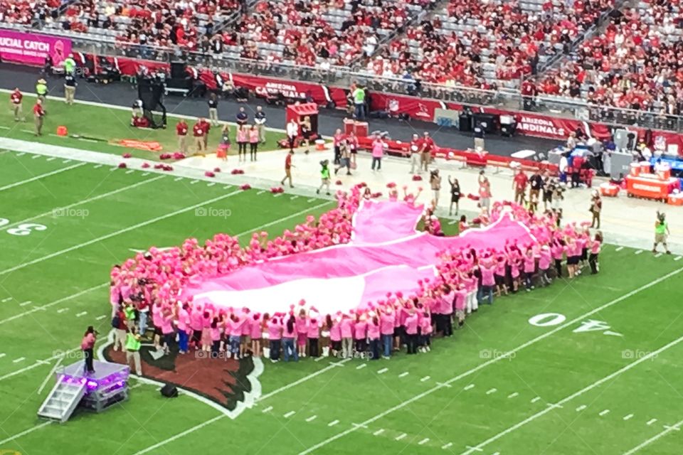 Pink Ribbon Breast Cancer 