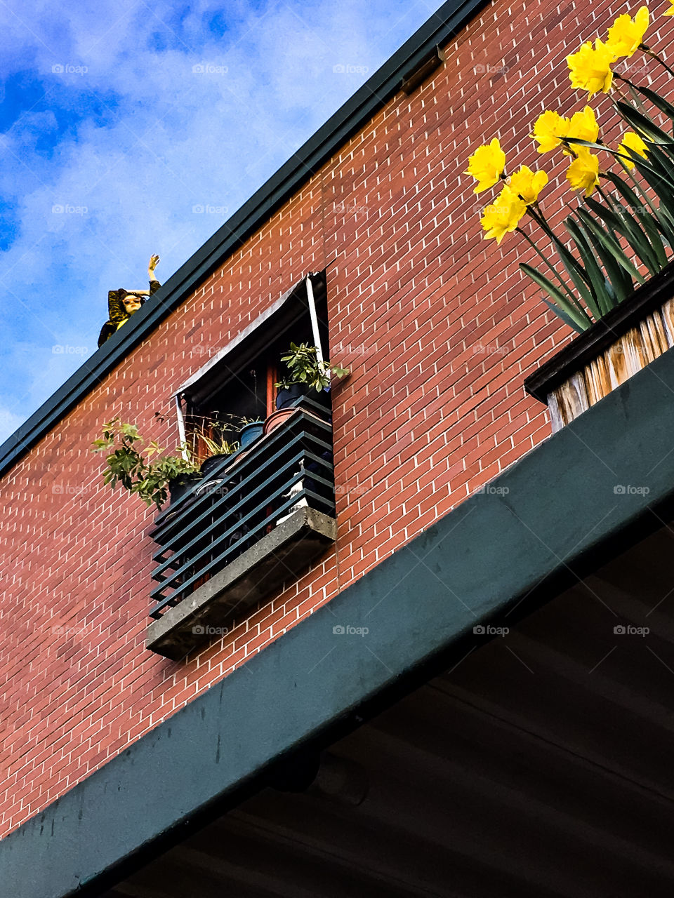 Pike Place Curiousness 