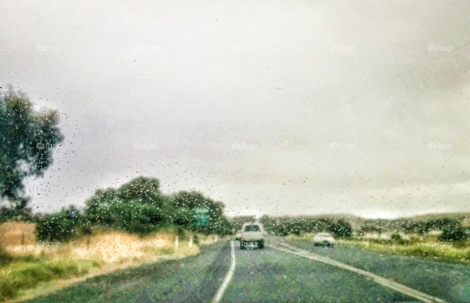 Rainy road trip