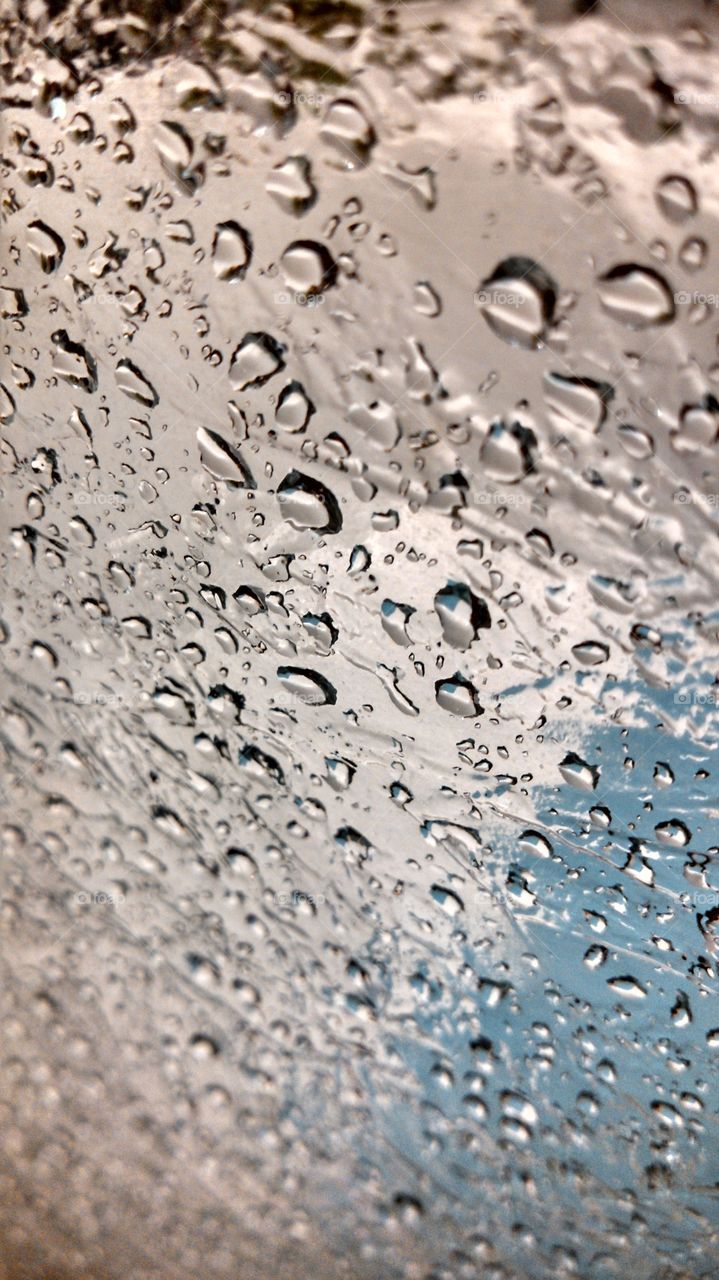 Water Droplets 