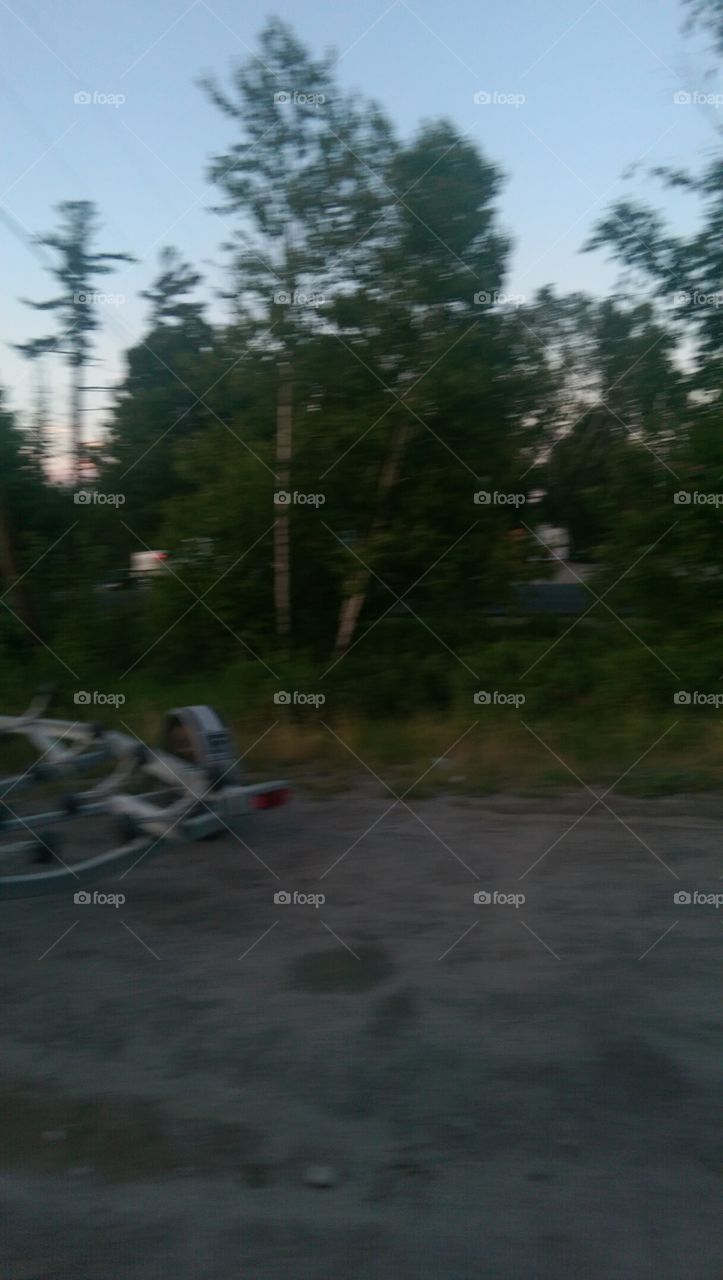 No Person, Landscape, Tree, Outdoors, People