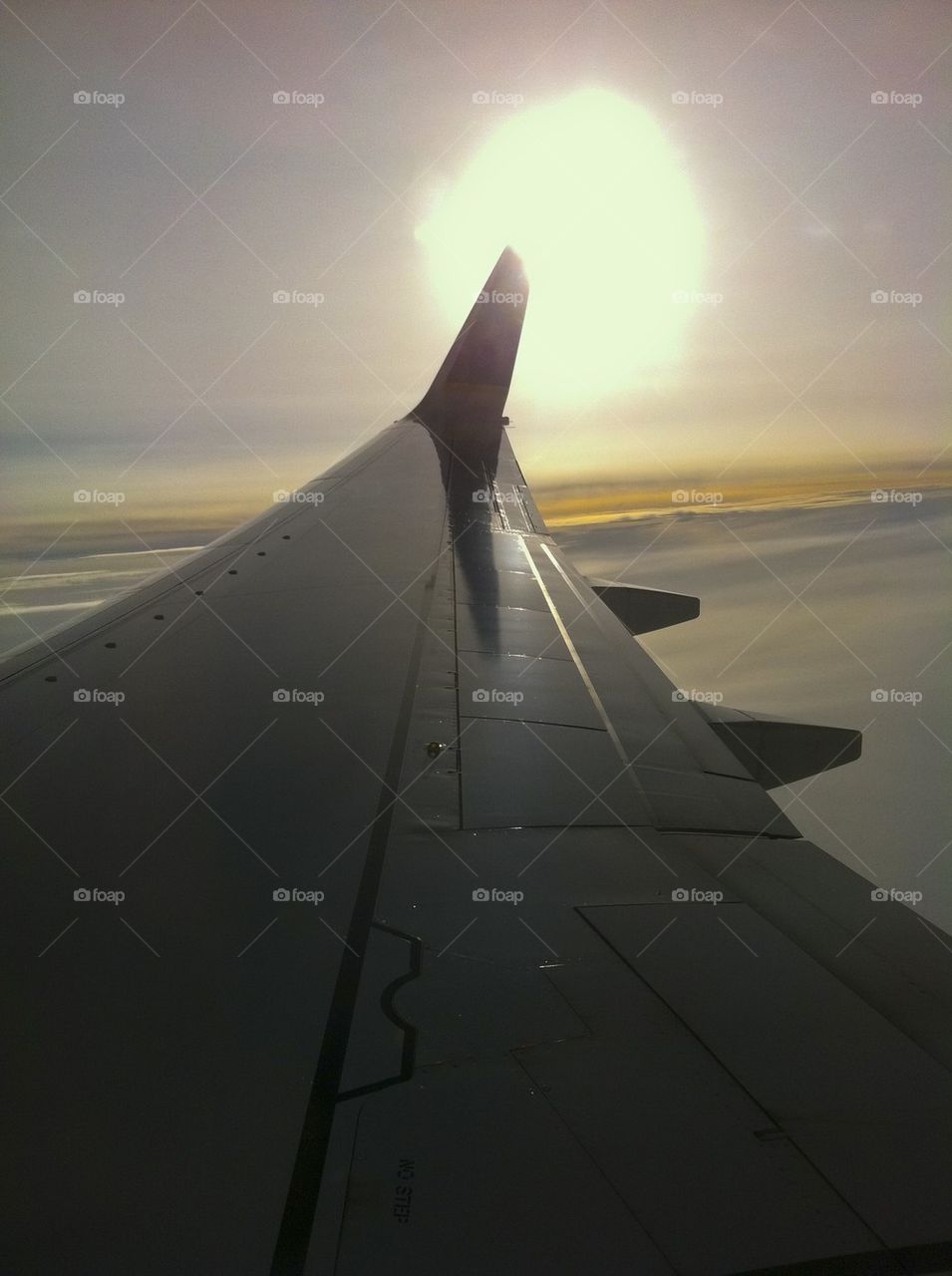 UNITED AIRLINES B737-900 TO NEW YORK JFK