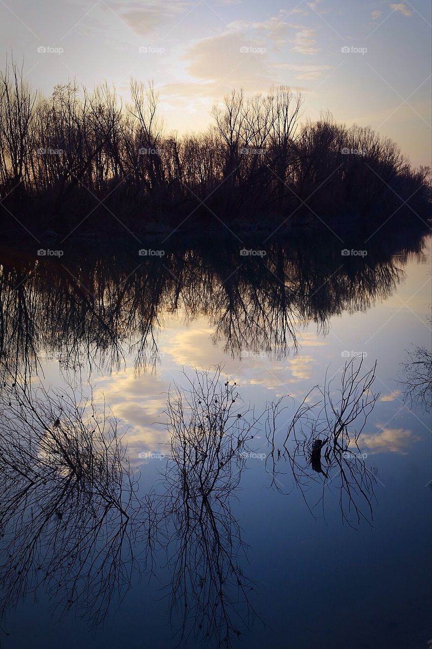 River reflections