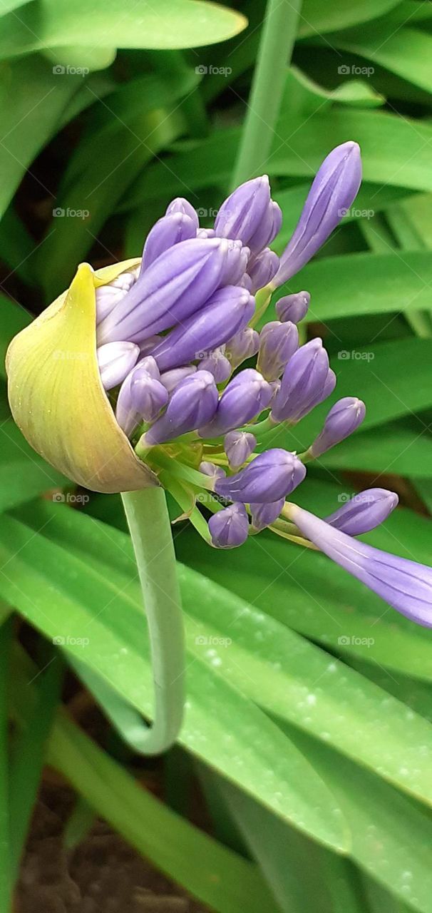 colores de primavera