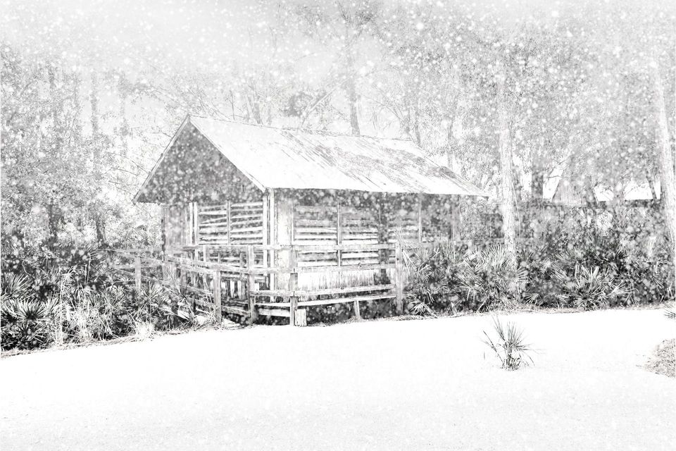 Vintage homestead in a snowstorm.