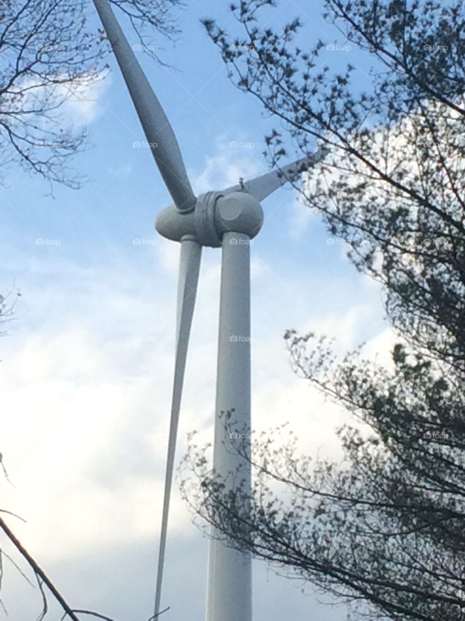 These turbines were absolutely riveting. I got soo much exercise going to see these in Greene RI. Worth a trip and the walk. 