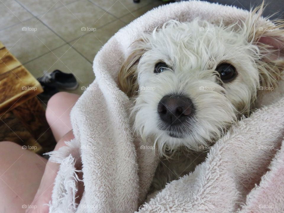 After The Bath