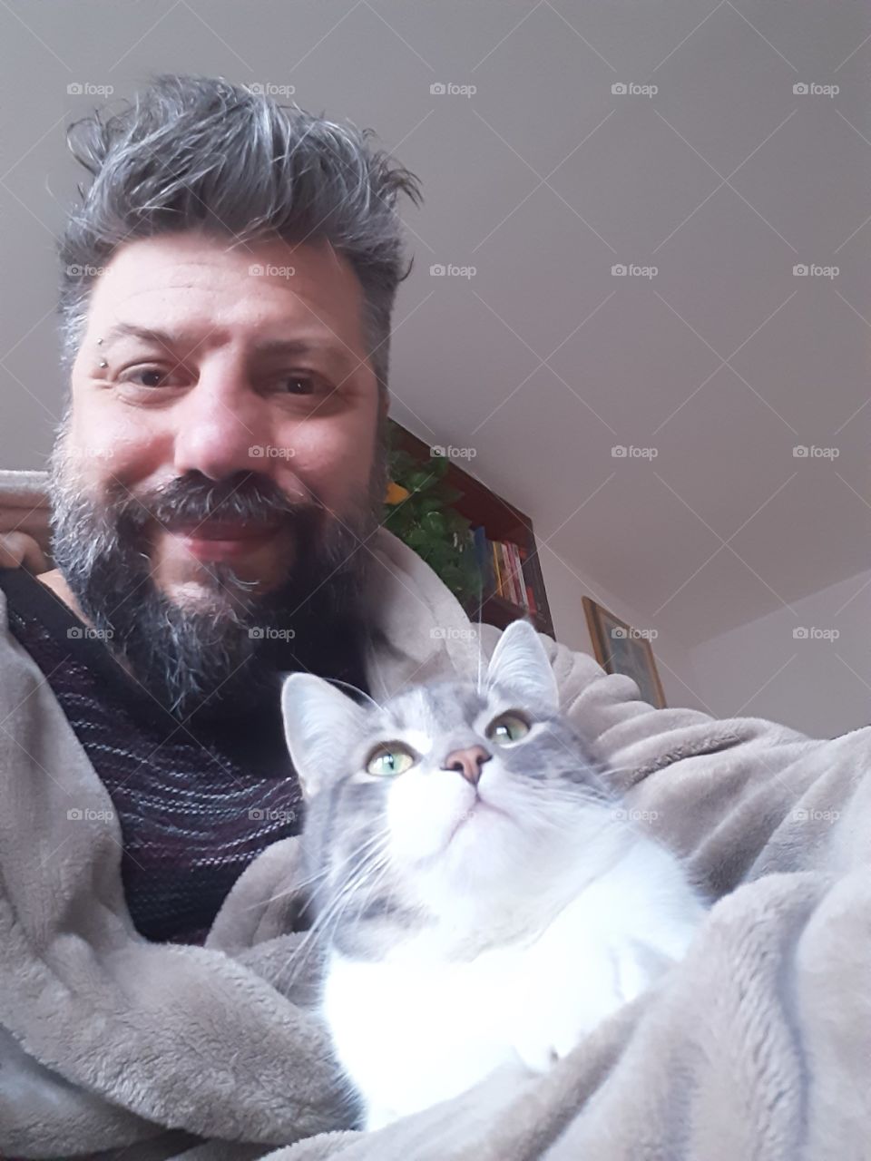i and cat