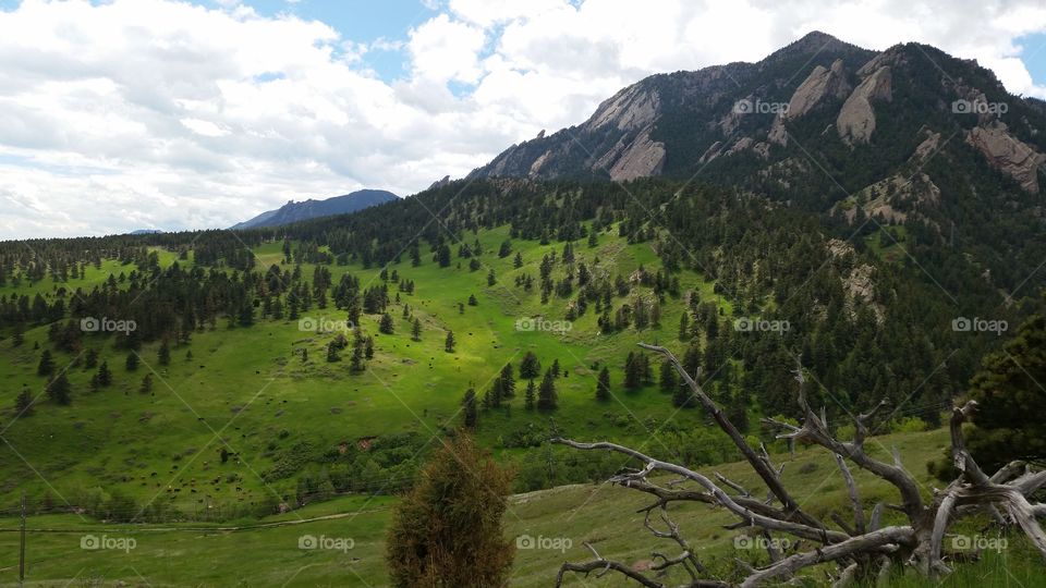 Colorado Mountain Valley