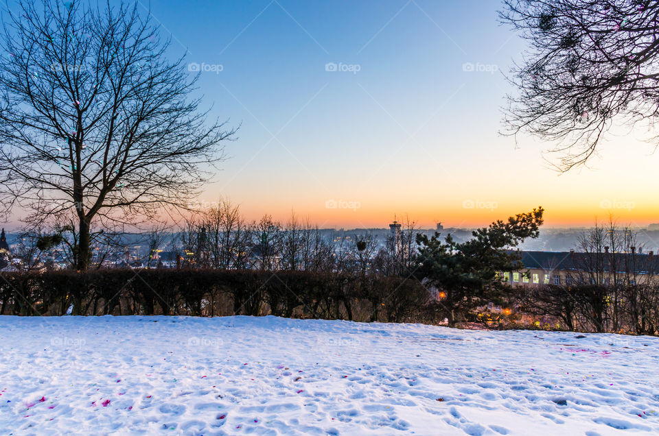 Lviv cityscape during the sunset