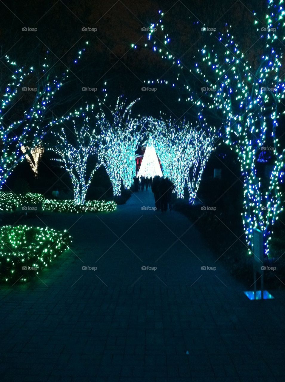 Lighted Garden