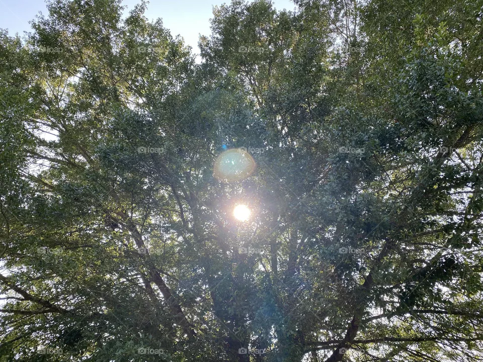 The sun 👀