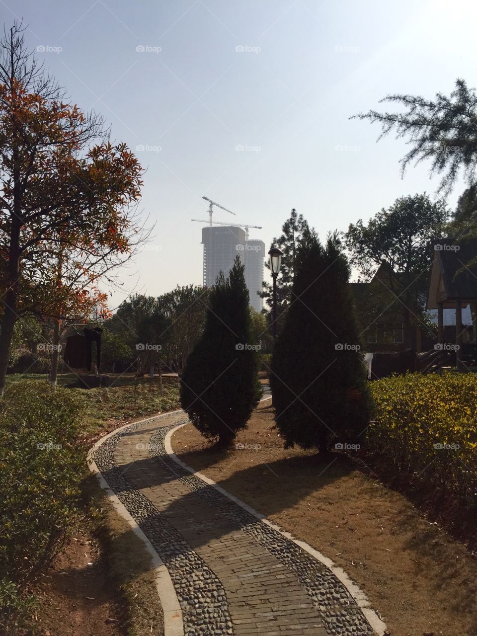 A walkway in the park with skyscrapers development on the horizon