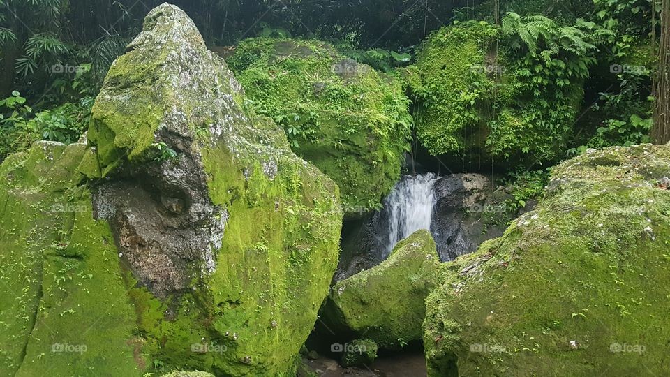 waterfall hidden behind mossy green rocks