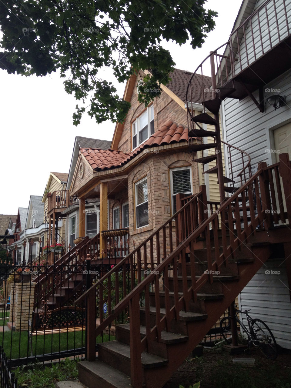 bike trees house steps by leanderthal