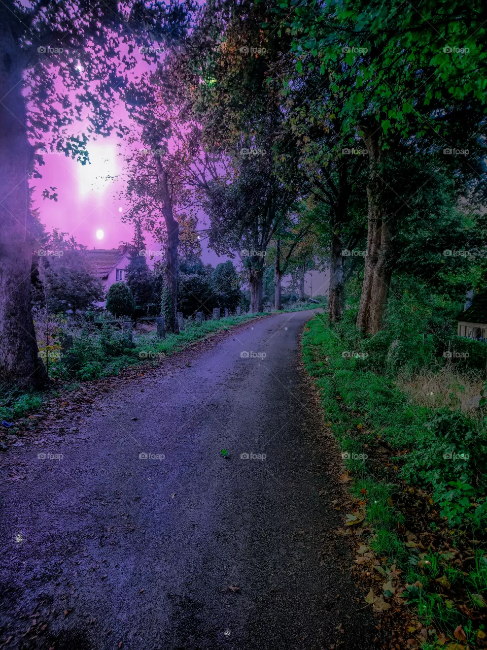 Road