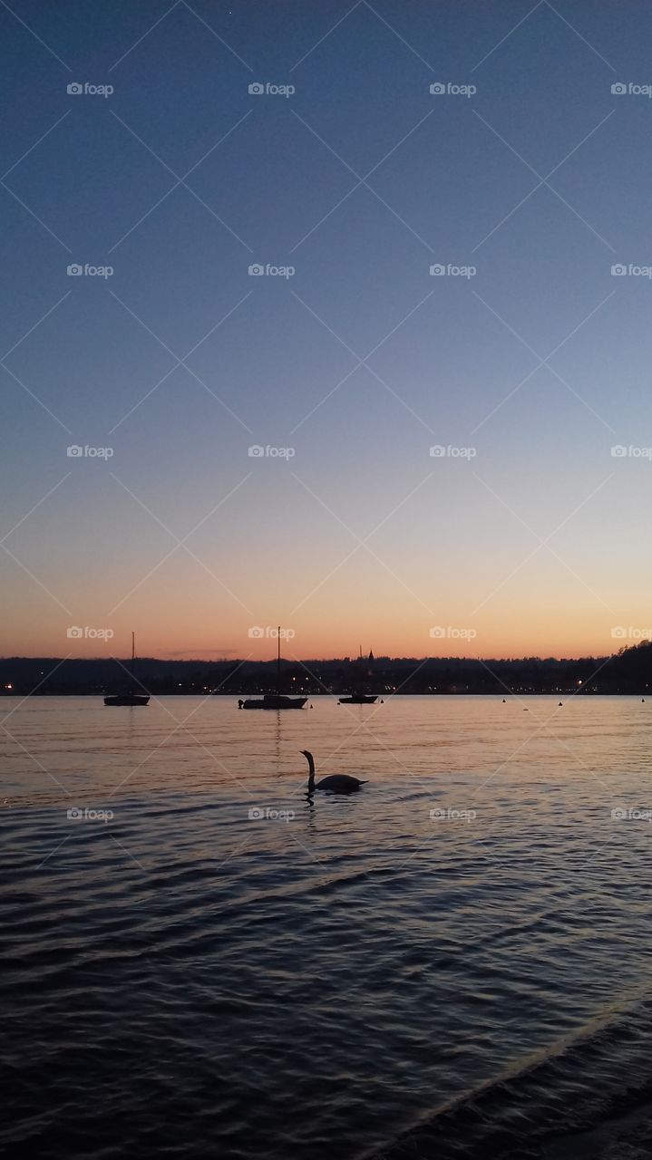 A large lake photographed at sunset, all the sky is coloured by blue and orange. There are a swan and a few boats in the centre