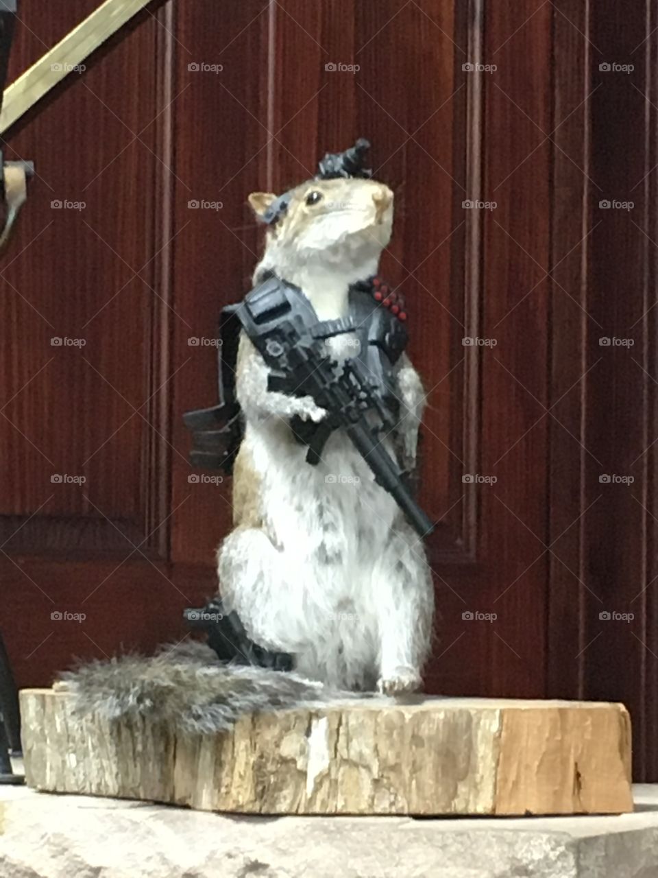 Squirrel trooper