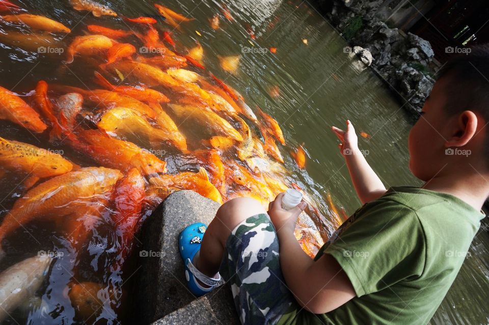 fishing. golden fish fed by a chinese boy