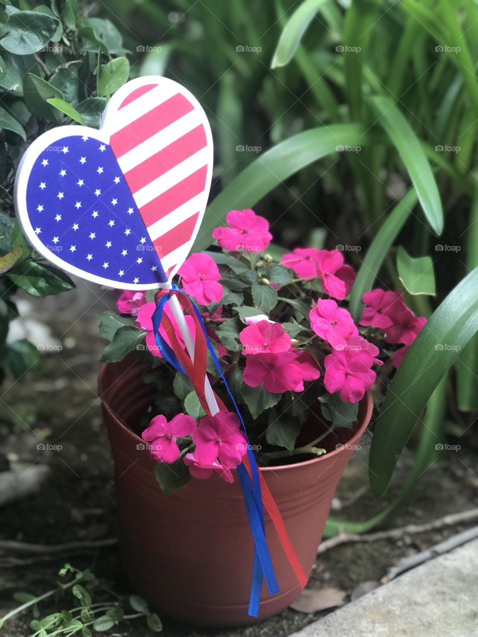 Celebrating Memorial Day - heart shaped American Flag decor in the garden with pink flowers. USA, America 