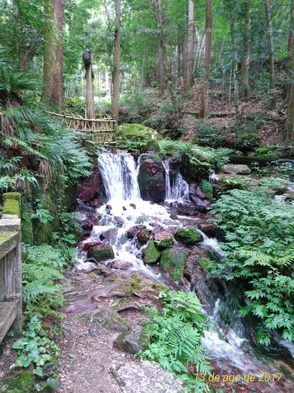 Corredeira em montanha no Japão!