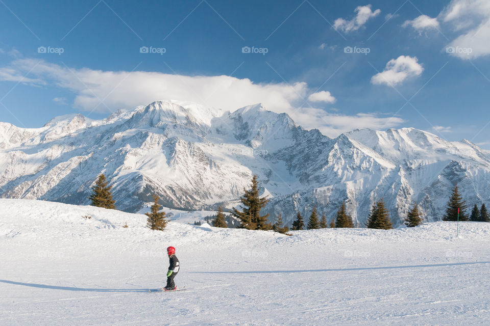 Winter nature in the French Alps