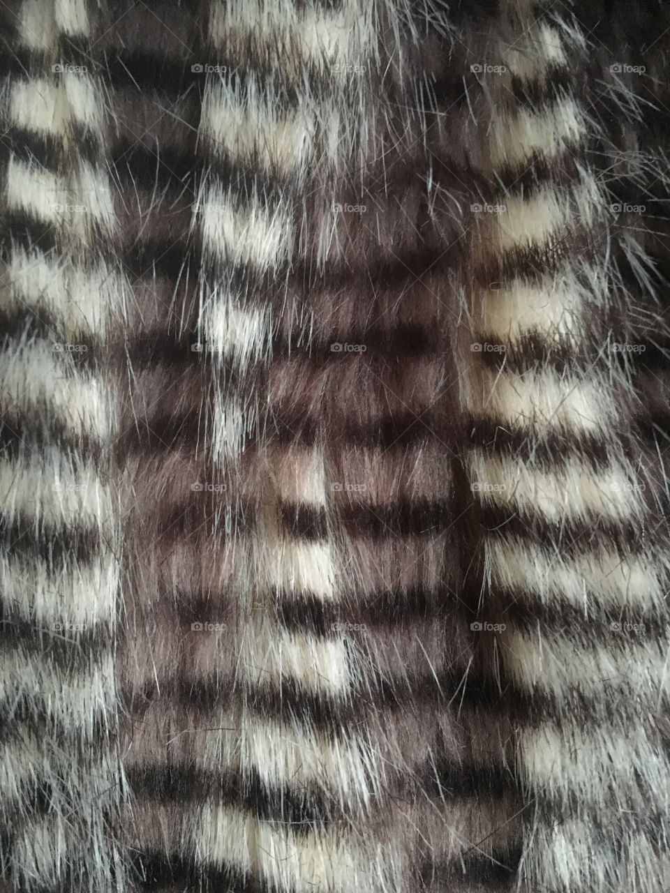 Feather texture. 