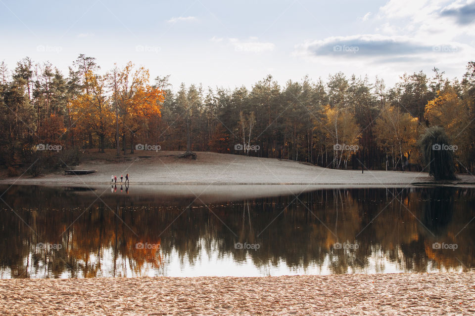 lake in the autumn forest