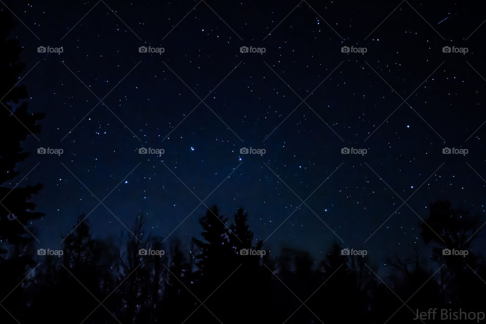 Stars in sky during night