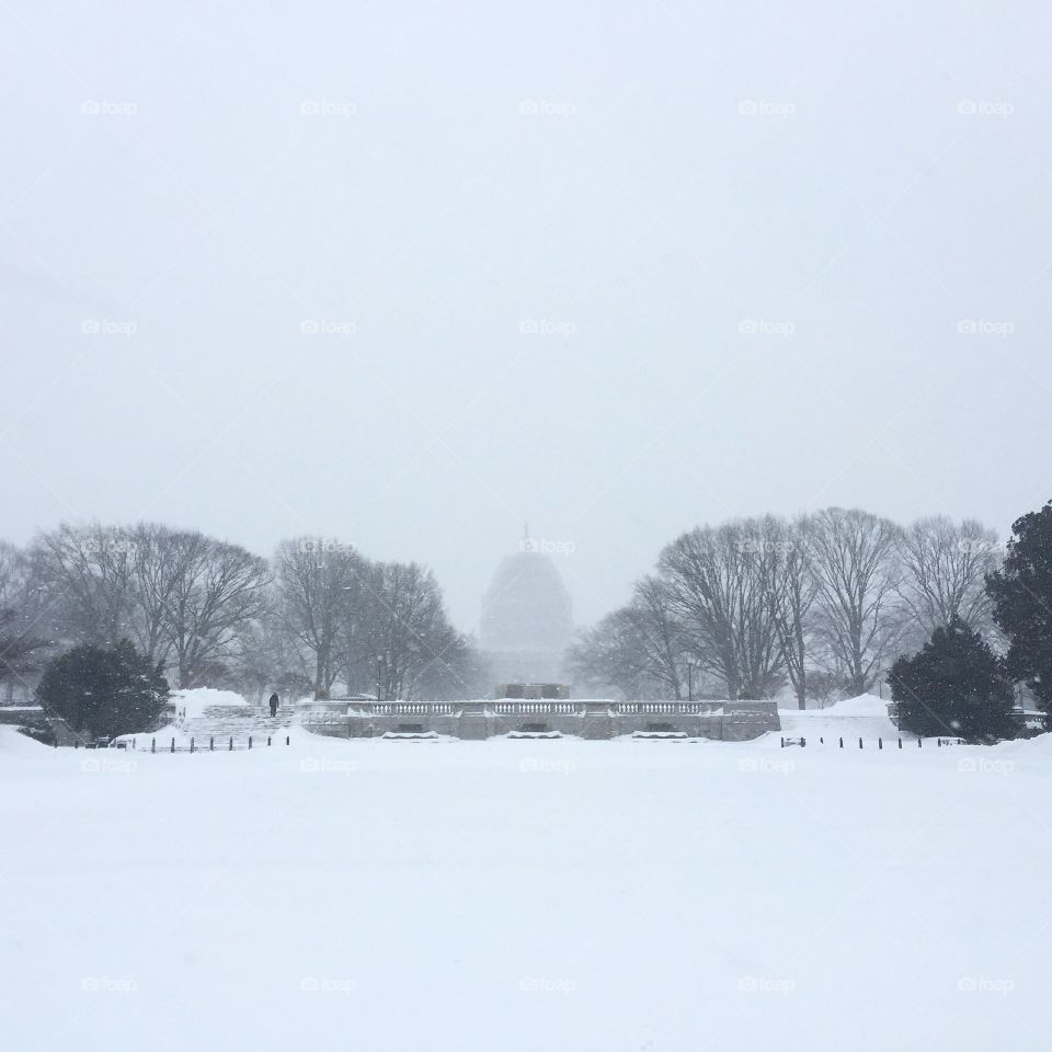 Capitol Building in Washington, DC
