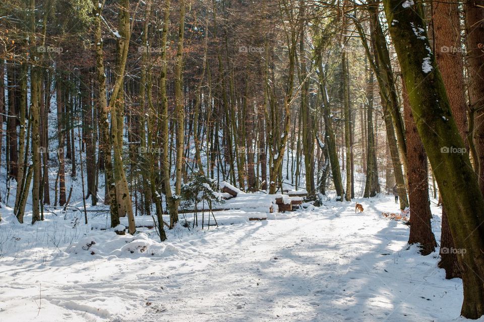 Hiking in Germany 