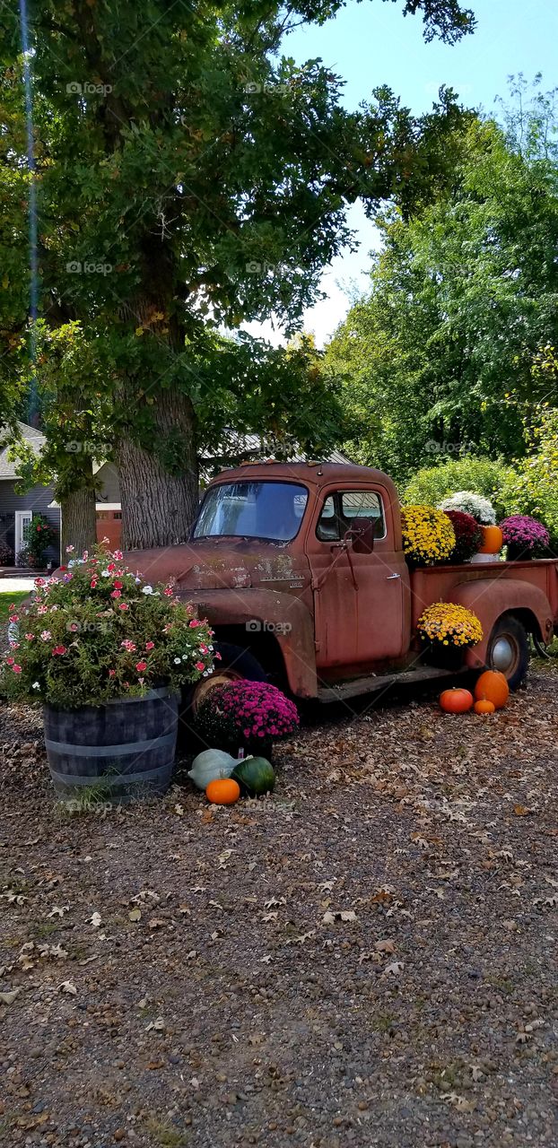 Old rusty truck and colors of fall