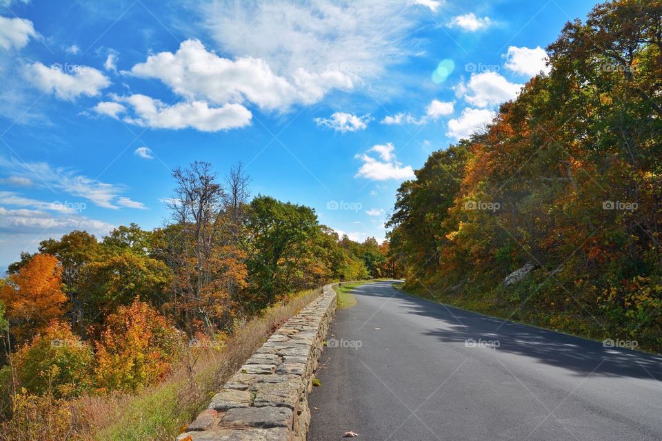 Skyline Drive Virginia in the Autumn