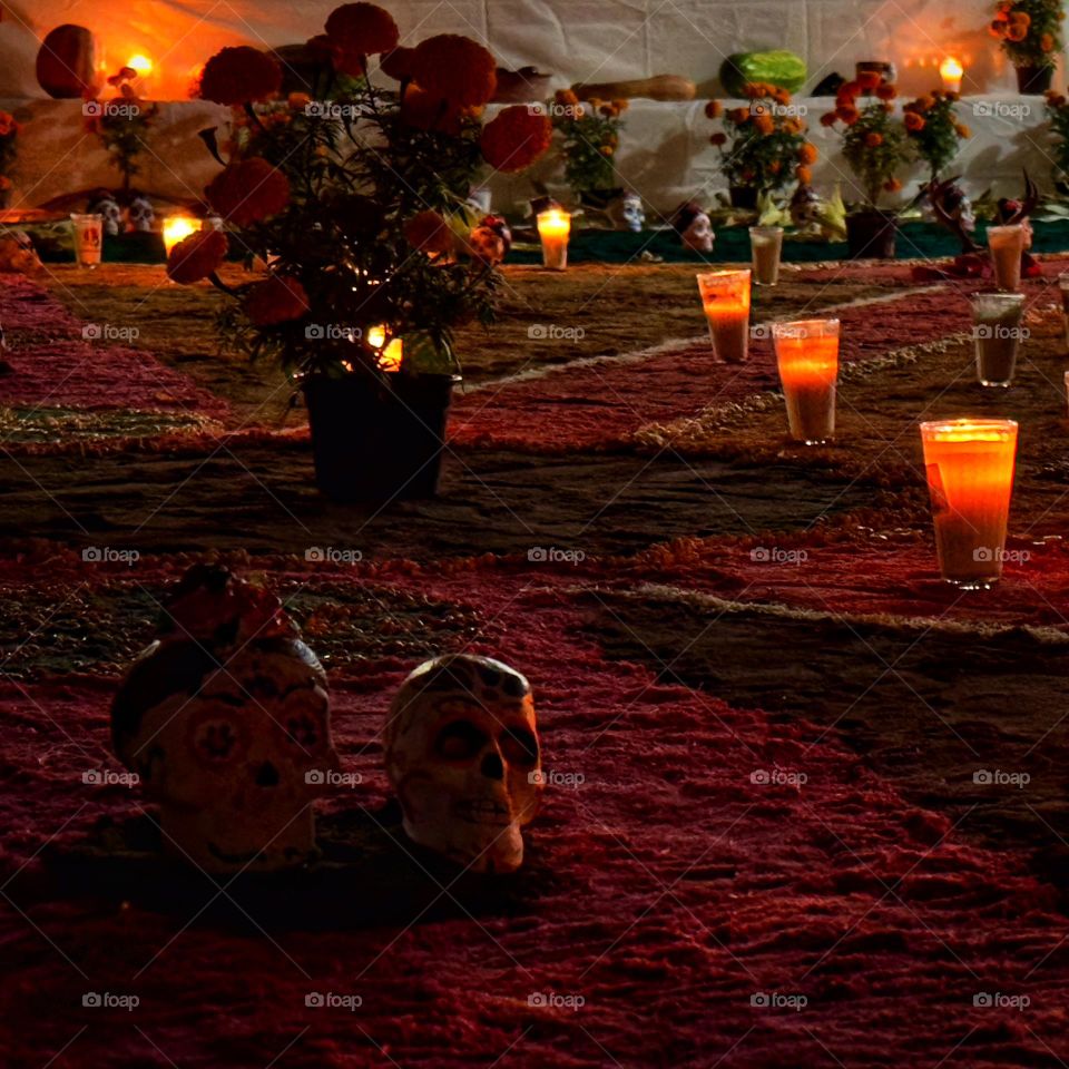 Skulls on the ground with many flowers at the background at the midnight, illuminated with lantern lamps.