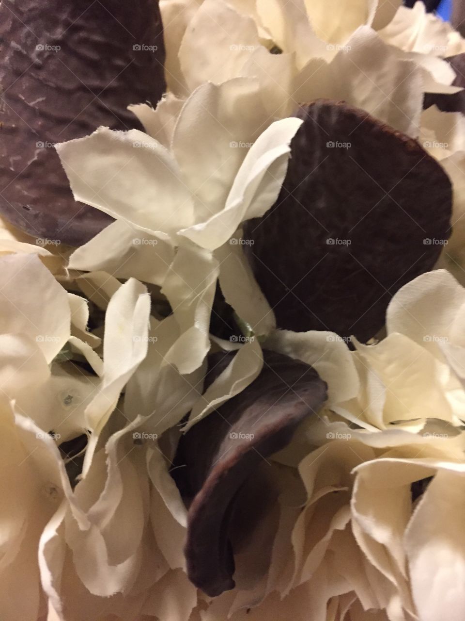 Petals of Chocolate 