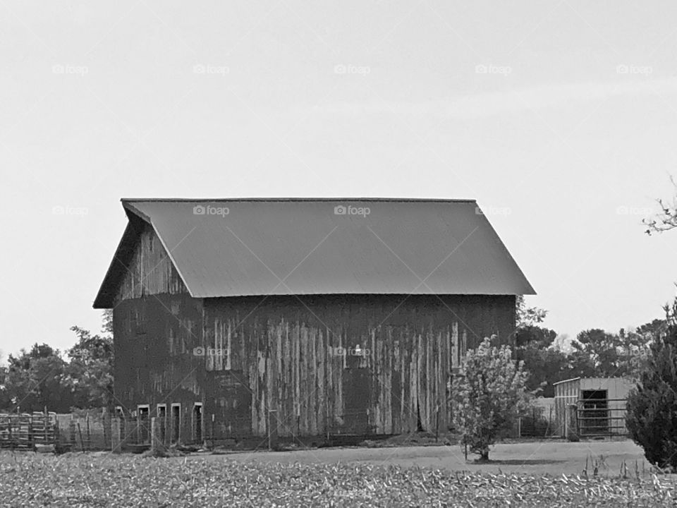 Old barn