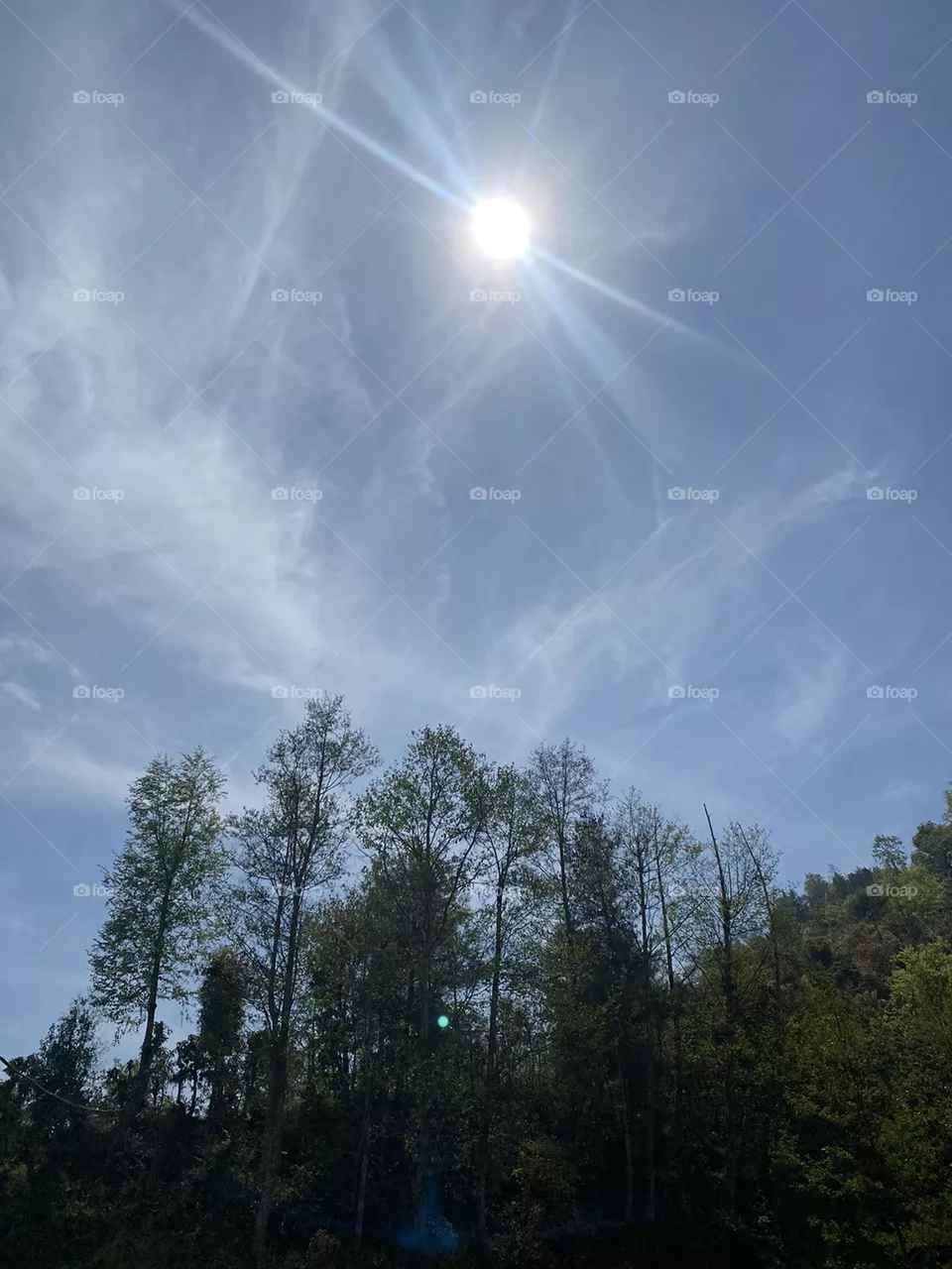 Sun shine bright