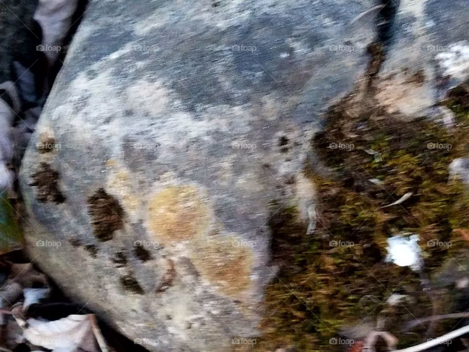 What can we Really see in a Rock