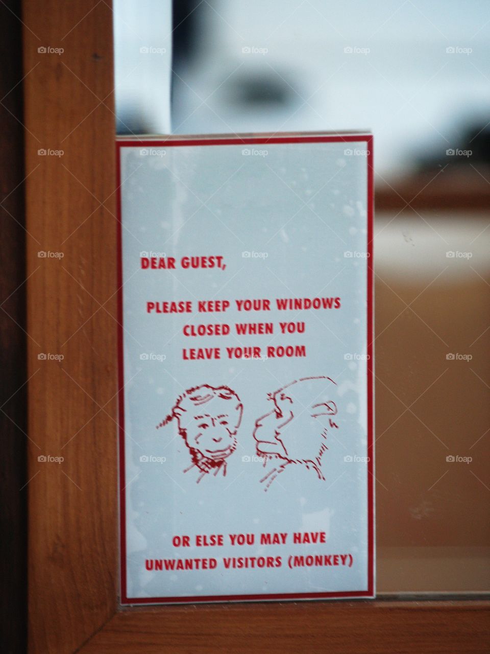 An India hotel room notice warns guests to make sure their windows are closed to prevent unwanted entry by monkeys.