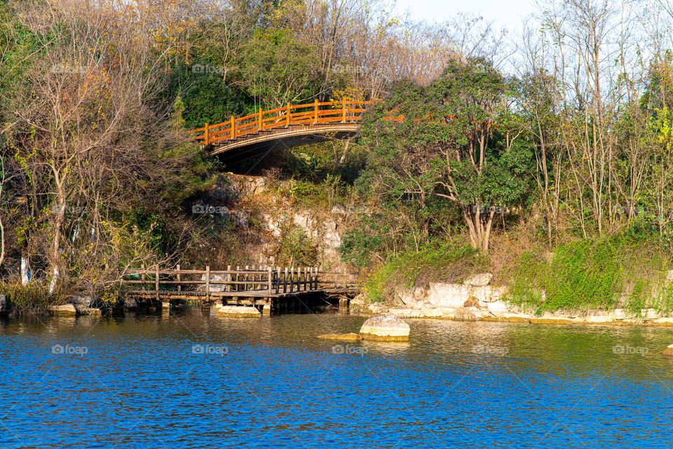 Bridge view